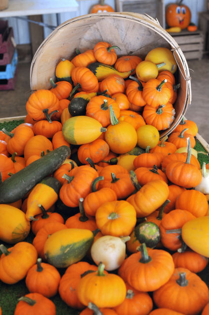 Moran's Orchard